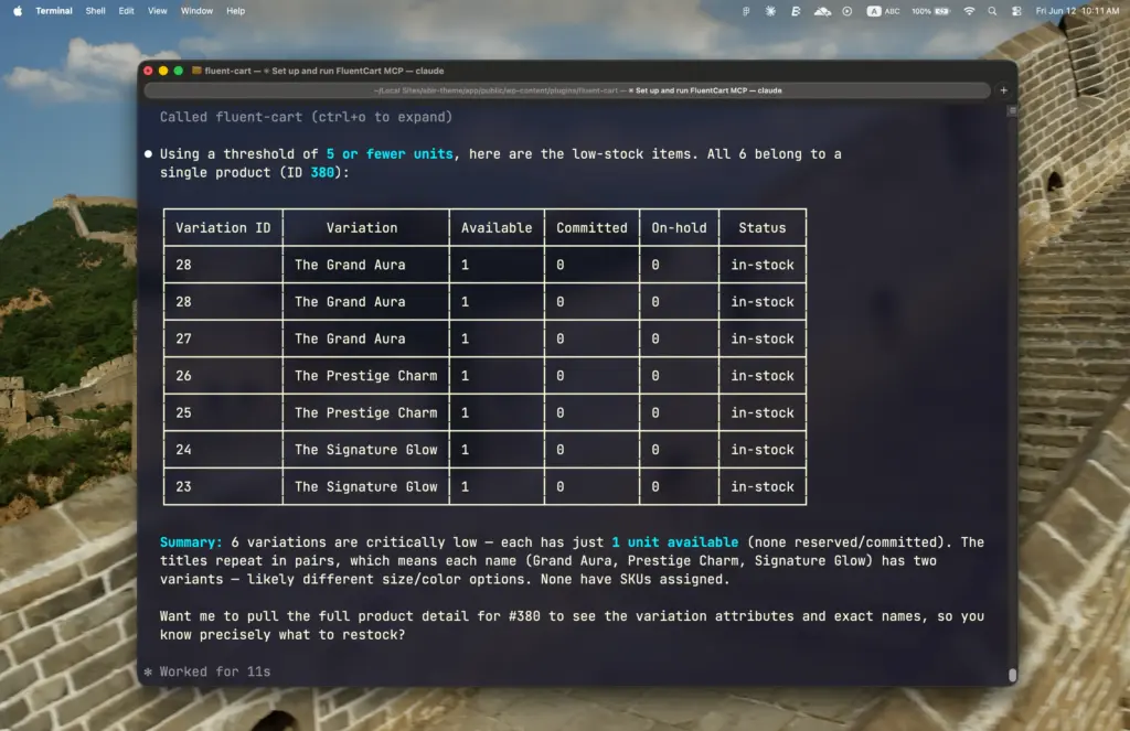 FluentCart MCP Output