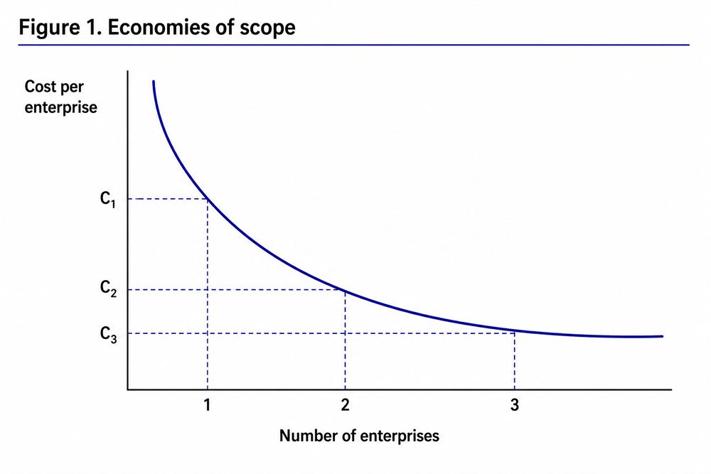 Economies of scope chart - What is economies of Chart, FluentCart Blog